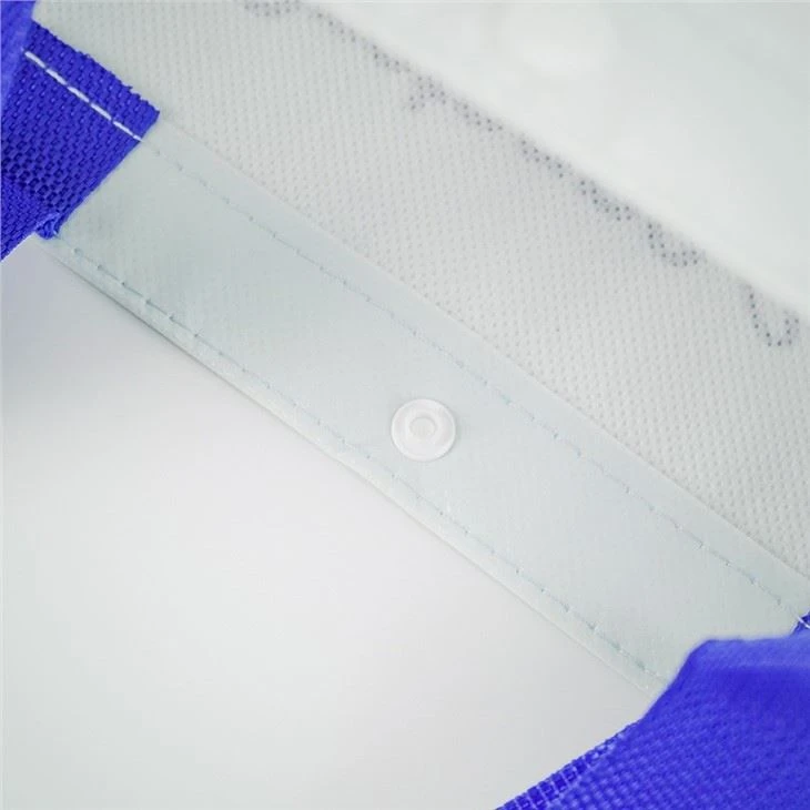 Reusable Non Woven Bags