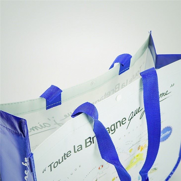 Reusable Non Woven Bag